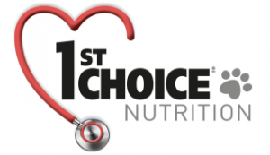 logo_first_choice